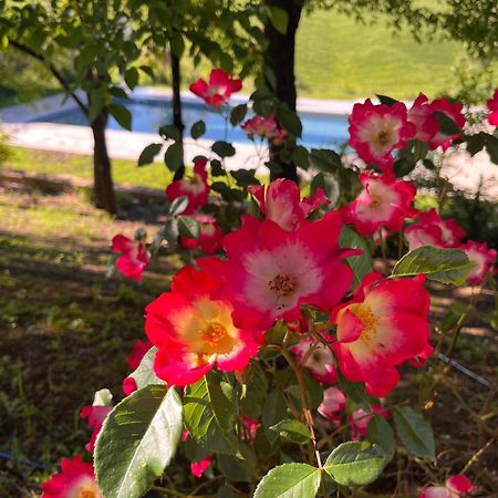 Agriturismo San Fabio Castelnuovo Berardenga Εξωτερικό φωτογραφία