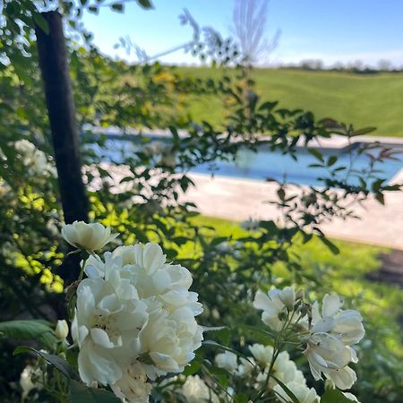 Agriturismo San Fabio Castelnuovo Berardenga Εξωτερικό φωτογραφία