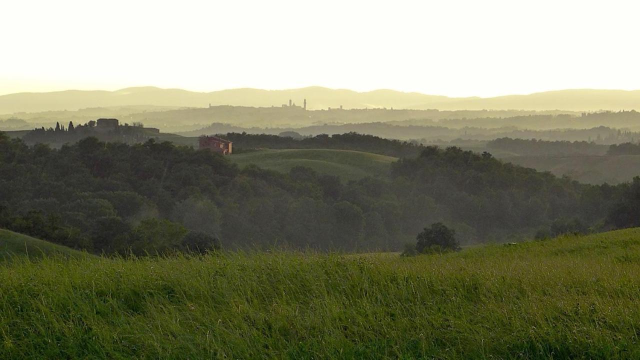 Agriturismo San Fabio Castelnuovo Berardenga Εξωτερικό φωτογραφία