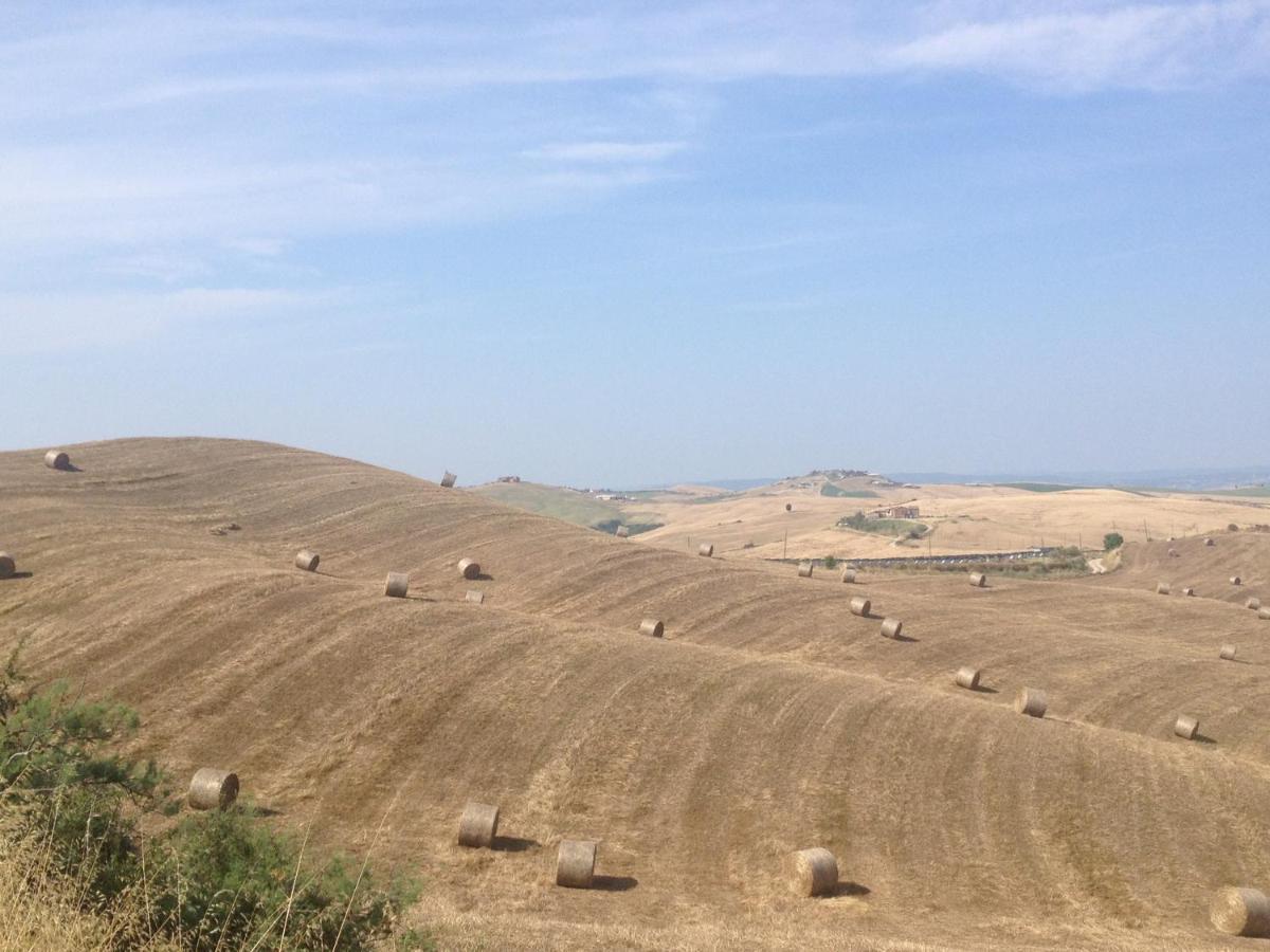 Agriturismo San Fabio Castelnuovo Berardenga Εξωτερικό φωτογραφία