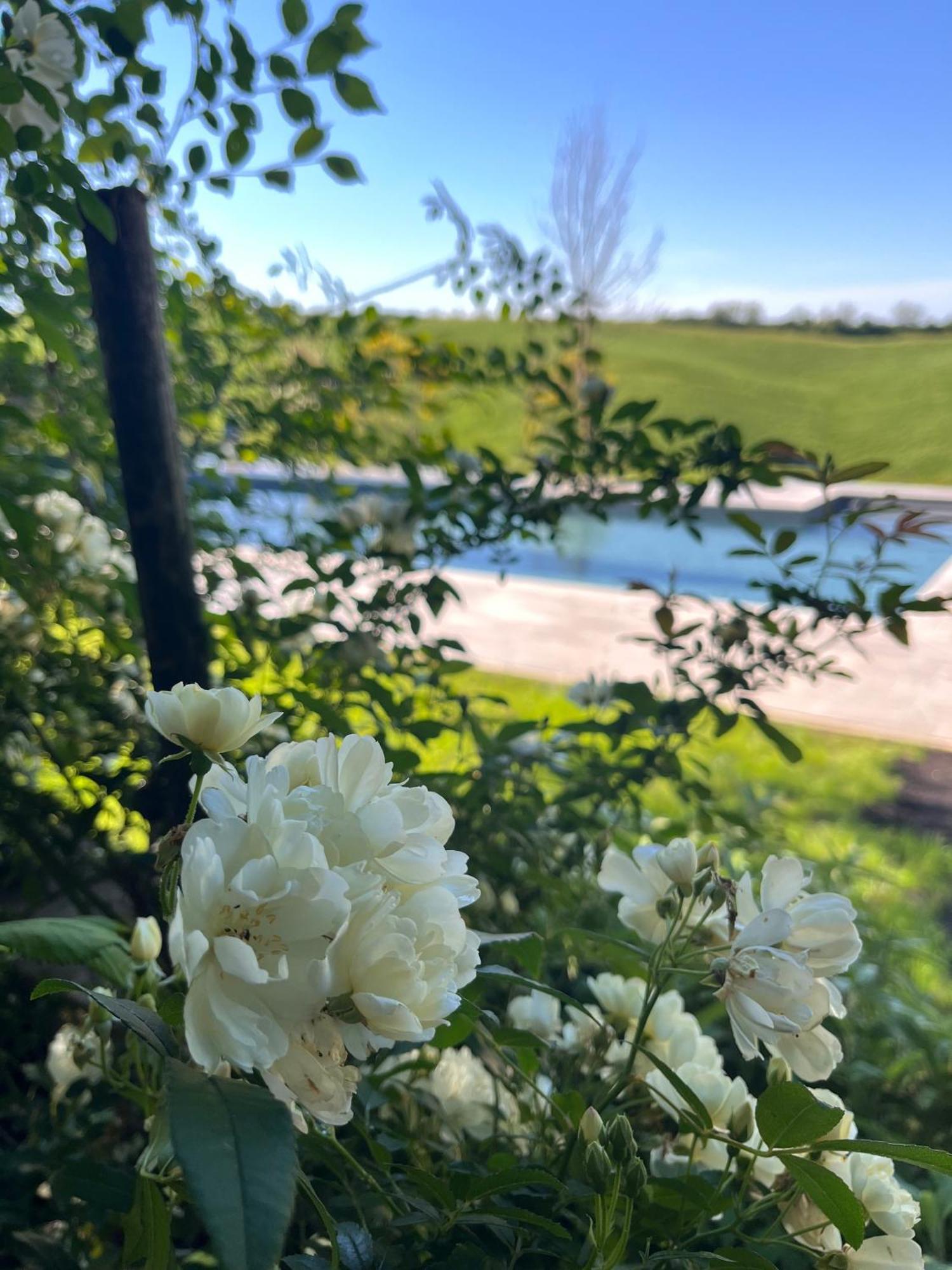 Agriturismo San Fabio Castelnuovo Berardenga Εξωτερικό φωτογραφία